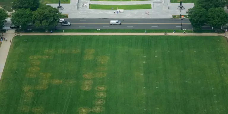 White House melts down over damaged lawn