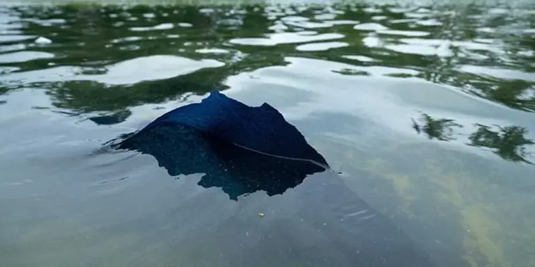 Trump’s algae ’embarrassment’ ripped apart as Iran comparison takes on new meaning