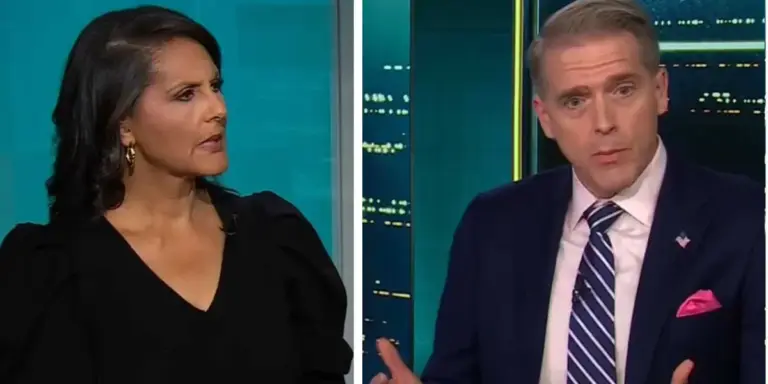‘That’s absolutely not true’: GOP pundit’s blame game gets pounced by panel