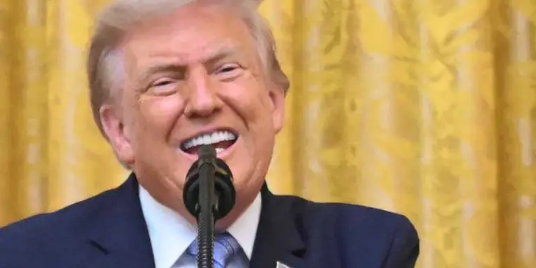 ‘I didn’t hear anything shocking’: Expert derails Trump’s central claim
